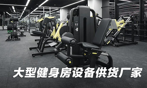 大型健身房設備供貨廠家