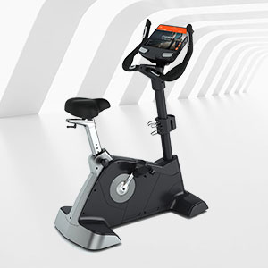 BCE-301T健身房高檔立式健身車(chē)