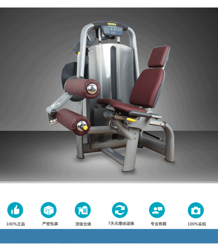 廠家直銷新款健身器材 室內(nèi) 健身房器材 運(yùn)動(dòng)器材 